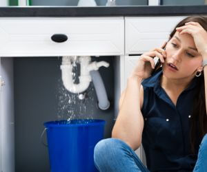 About Emergency plumbing pros Wausau, FL